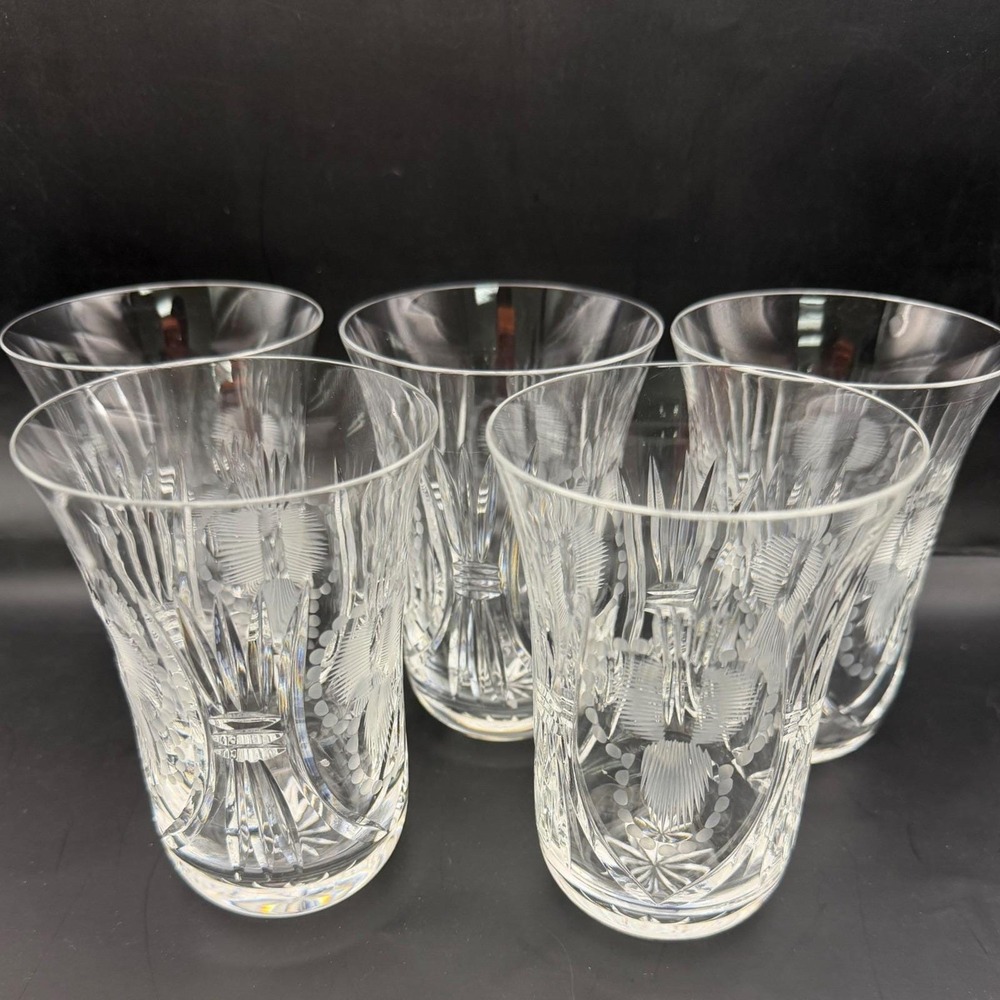 Vtg Set of 5 Crystal Bohemian Cut Clear Tumbler Glasses Etched MCM Czech Glass - Picture 1 of 9